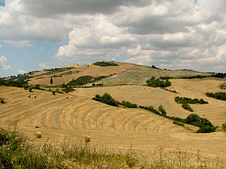 Landschaft in der Toskana